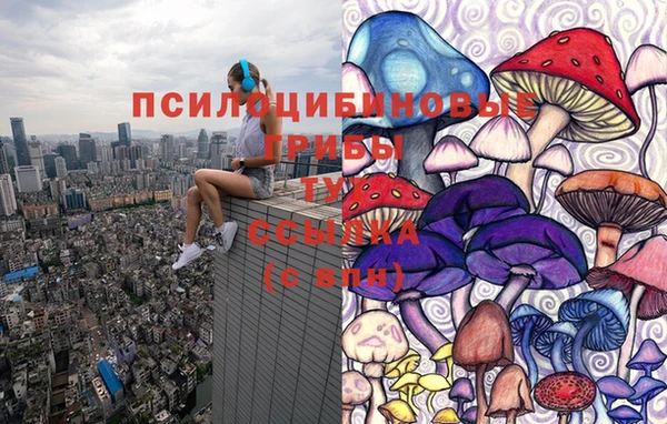 apvp Покровск