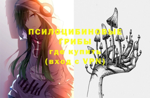 хмурый Абинск